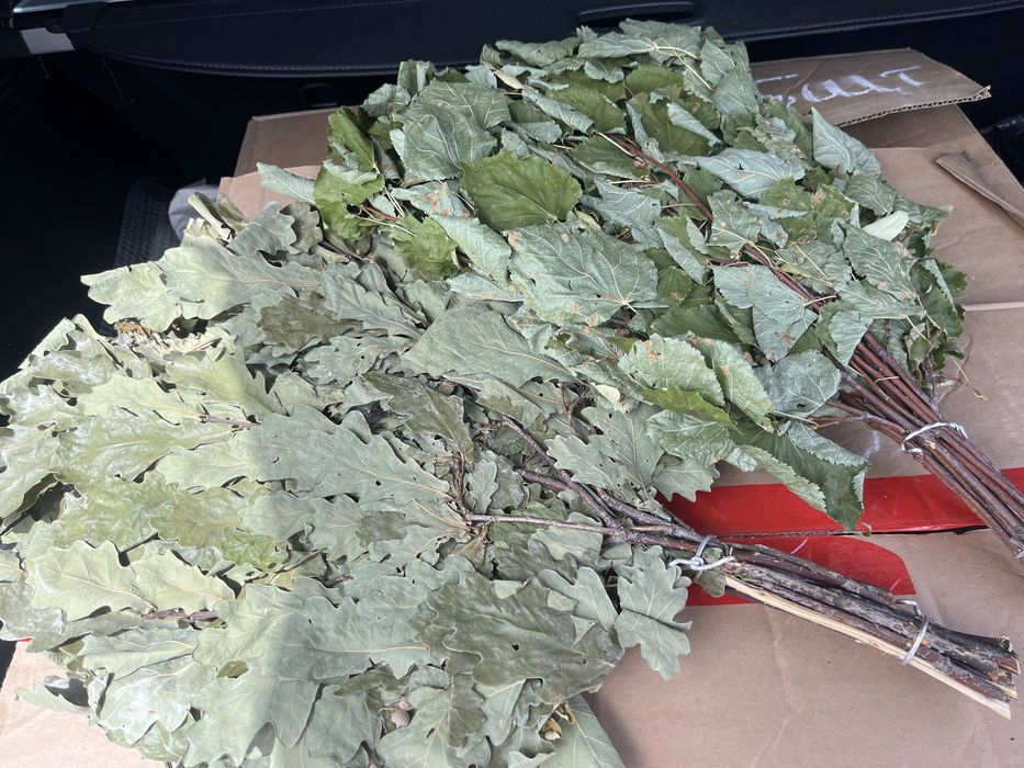 Продаю дубовые веники