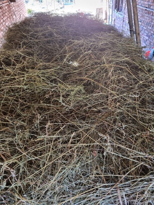 De vânzare FÂN calitatea 1