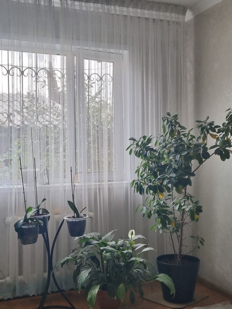 Продам тюль очень красивую