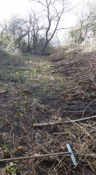 Косене на трева, почистване на дворове, терени, парцели от храсти, ряз