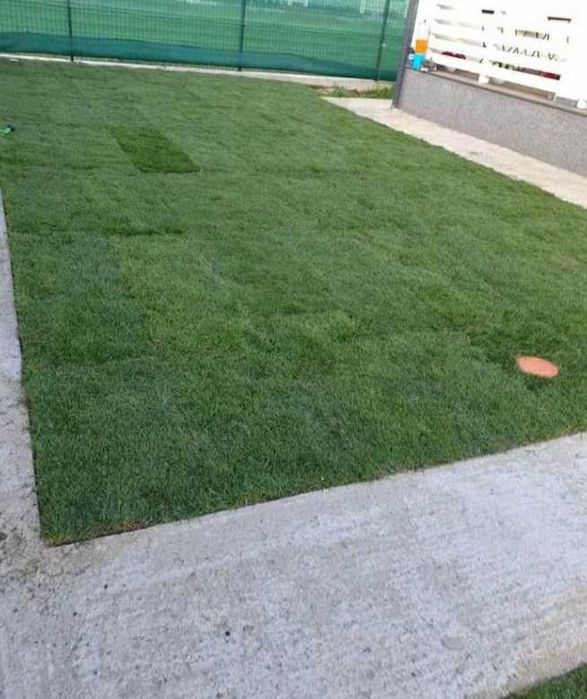 Gazon Rulou sisteme de Irigare