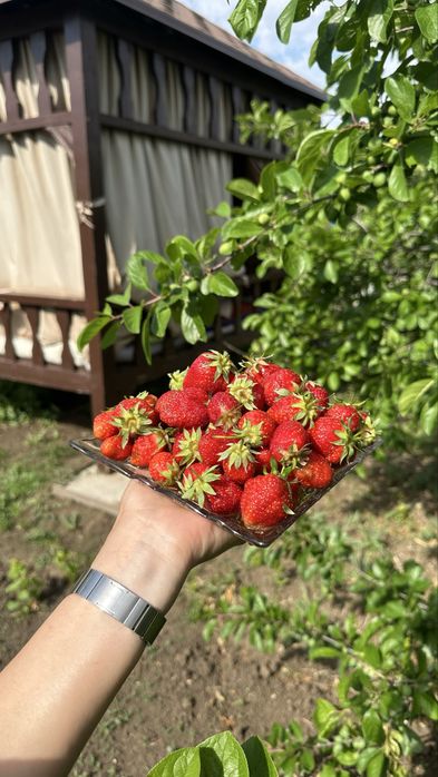 Продам дачу Геолог