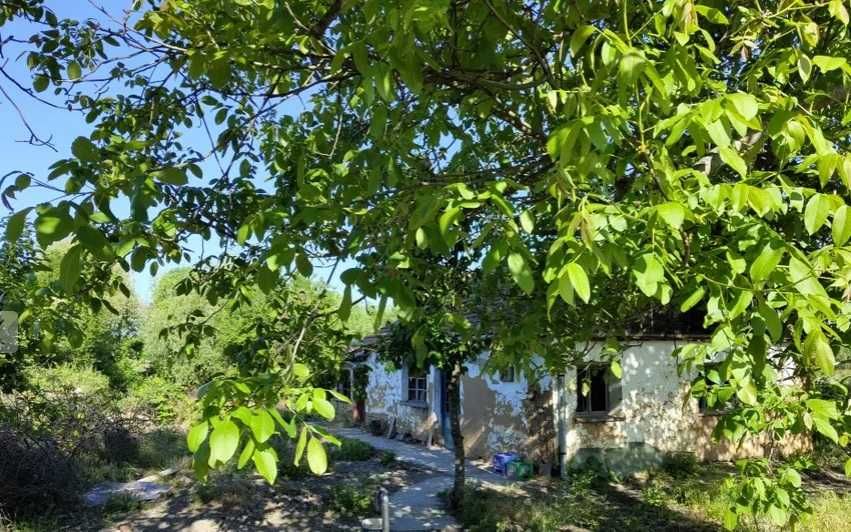 Teren intravilan +Teren cu casa  Diosig