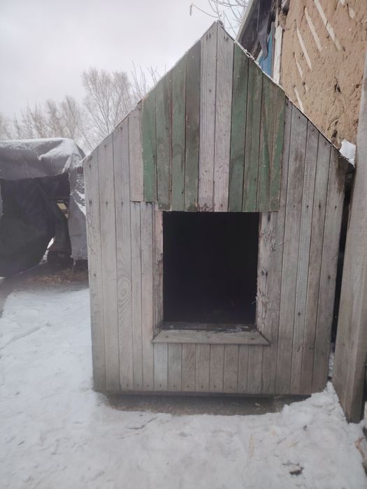 Будка для собаки