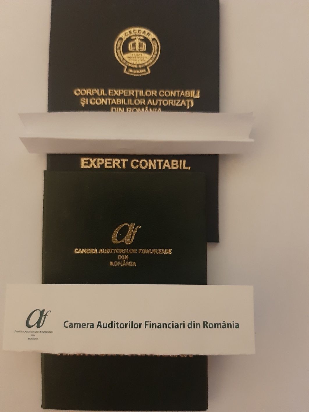 Expert contabil autorizat CECCAR si auditor financiar  autorizat Cafr