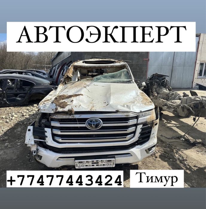 Автоэксперт Автоподбор Эксперт Толщиномер Подбор  Диагностика
