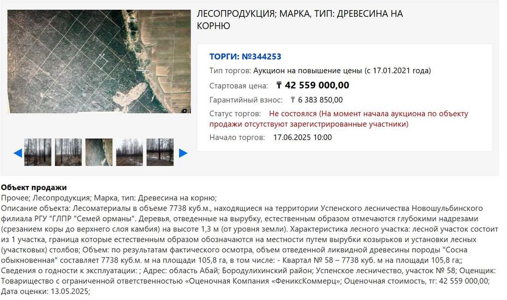 Пиловочник, лес на корню, кругляк