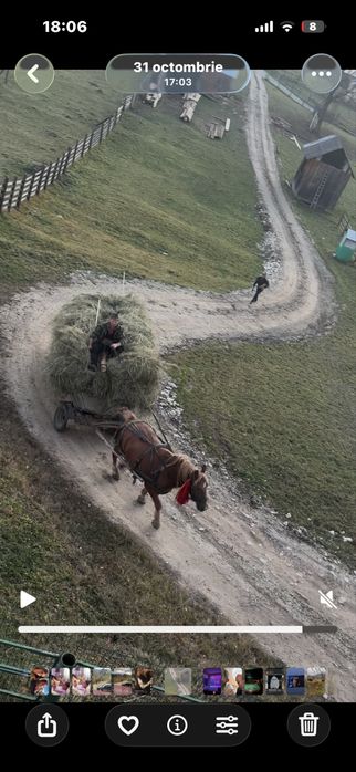 Cal de vanzare foarte blând și iute