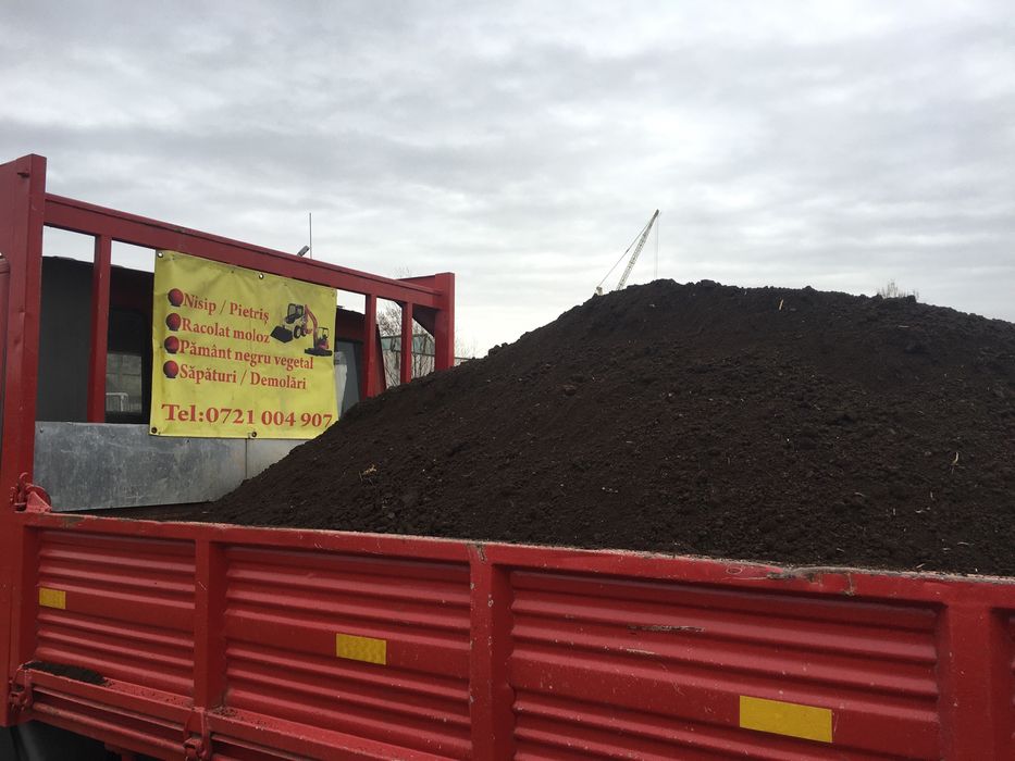 Pamant vegetal cernut