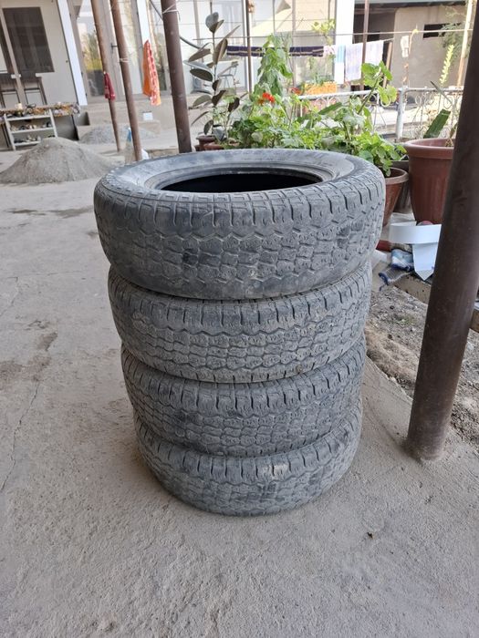 Nivaga raboche balonlar komplekt