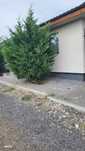 Vila individuala de vanzare 4 camere Crevedia - Samurcasi