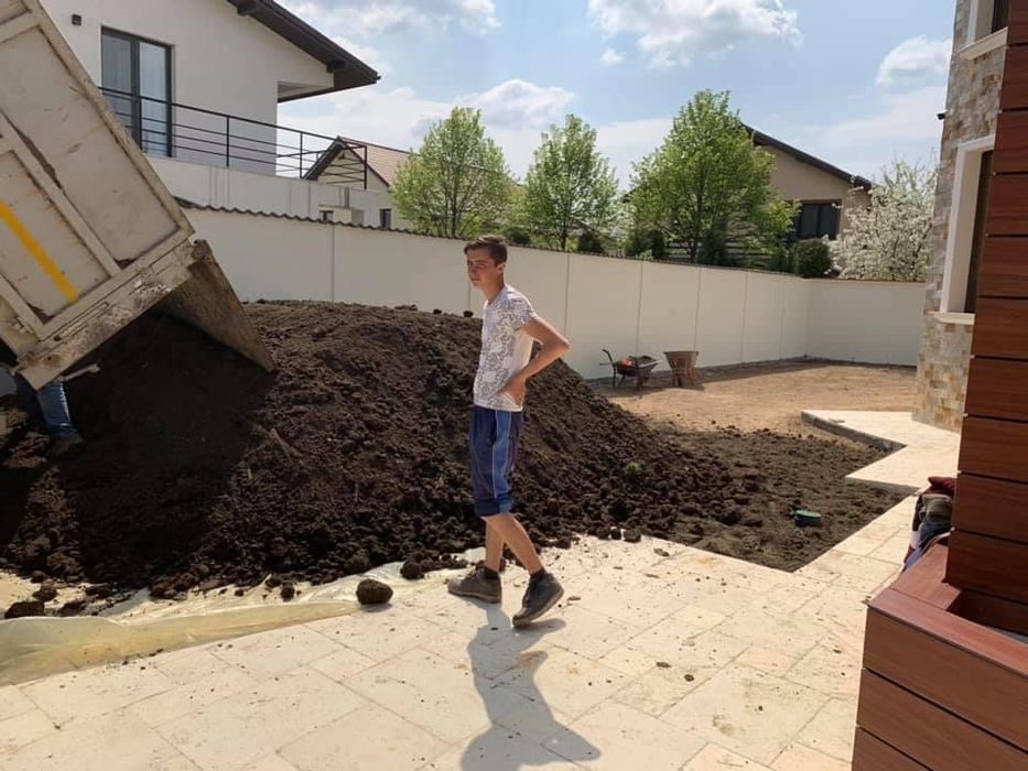 Pamant negru de padure sortat ,maruntit / mranita pentru gazon