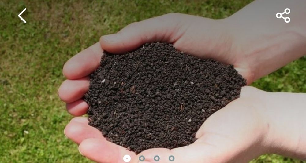 Биогумус органическое экологичное удобрение. Огород, Вермикомпост