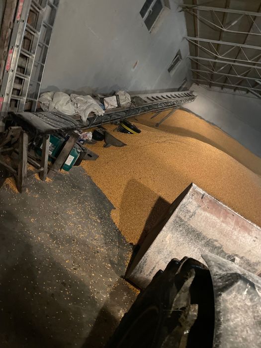 Porumb 1 leu Kilogramul neg