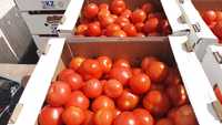 Свежие помидоры по 350тг