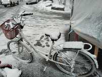 Velosapet sotladi 150$ kami bor