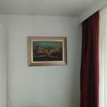Pictura pe panza