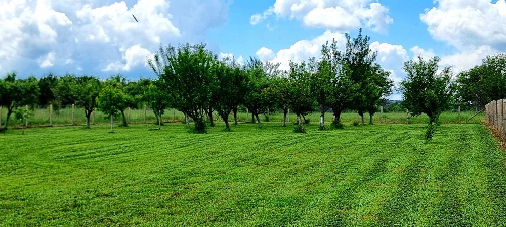 Продава се парцел село Мерданя 1360 кв.м.  Област Велико Търново