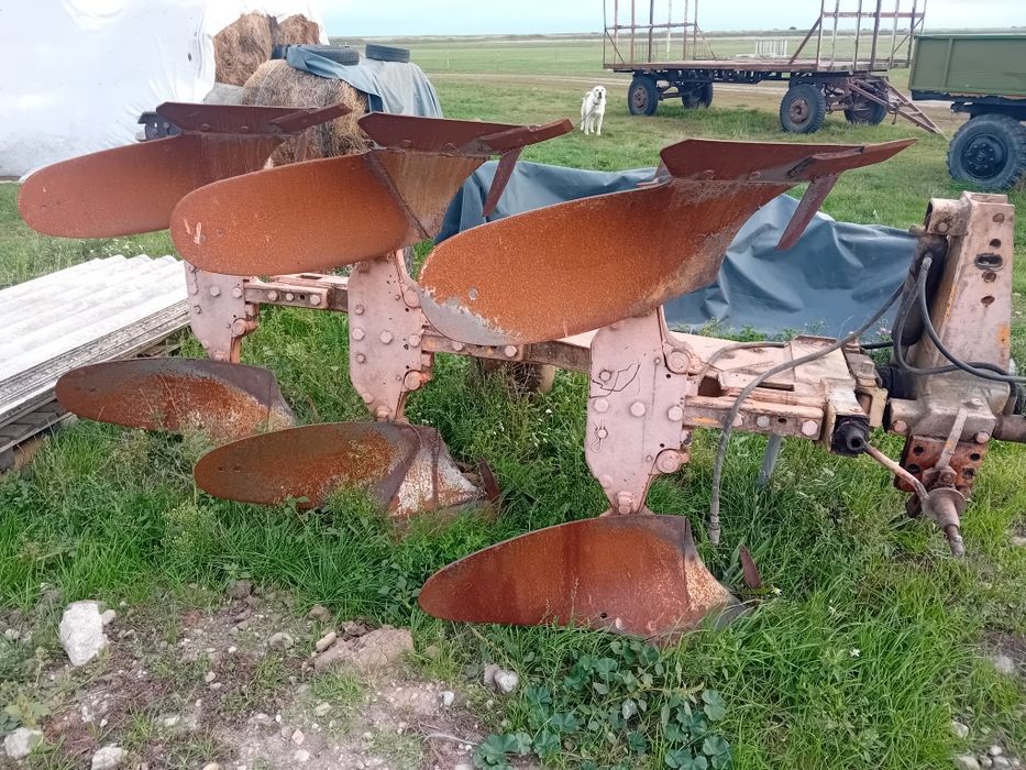 Plug huard 365 cu 3 trupite