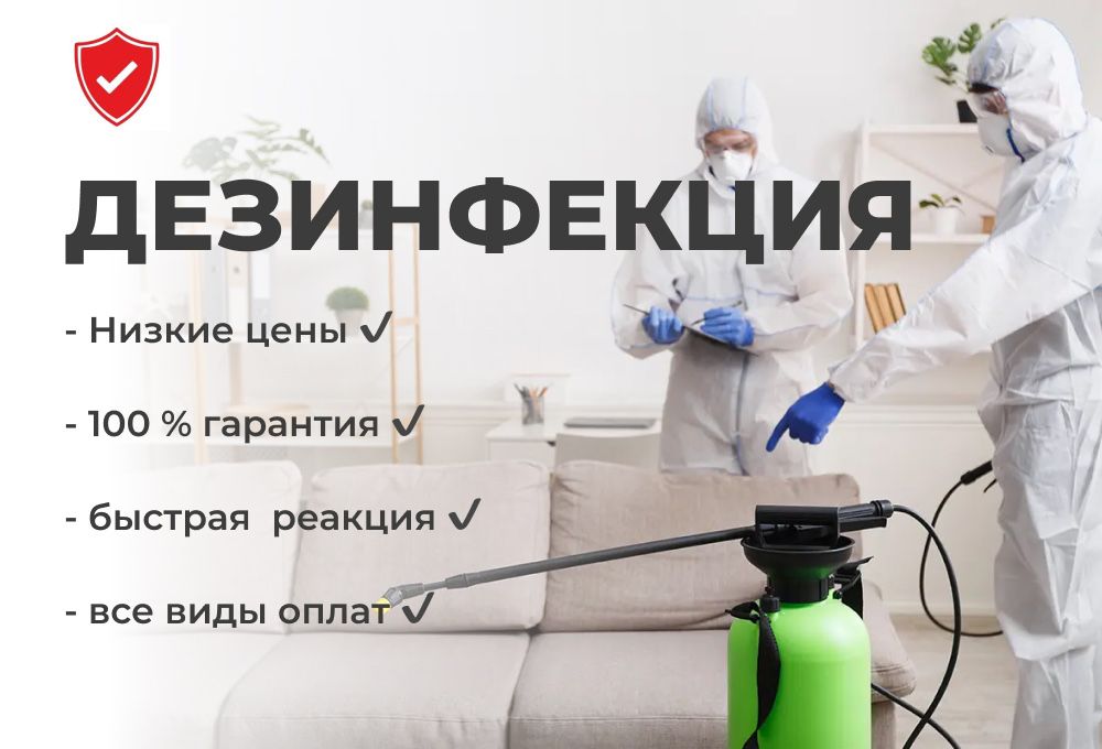 Дезинфекция клопы и тараканы Дезинсекция г Тараз с гарантией