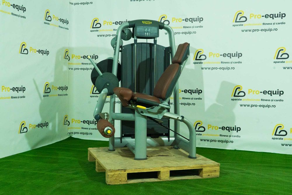 Aparat fitness profesional picioare Matrix, Technogym