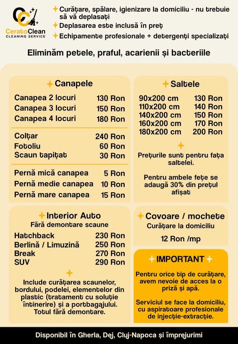 Curatare profesionala cu aparat injecție-extractie, la domiciliu!