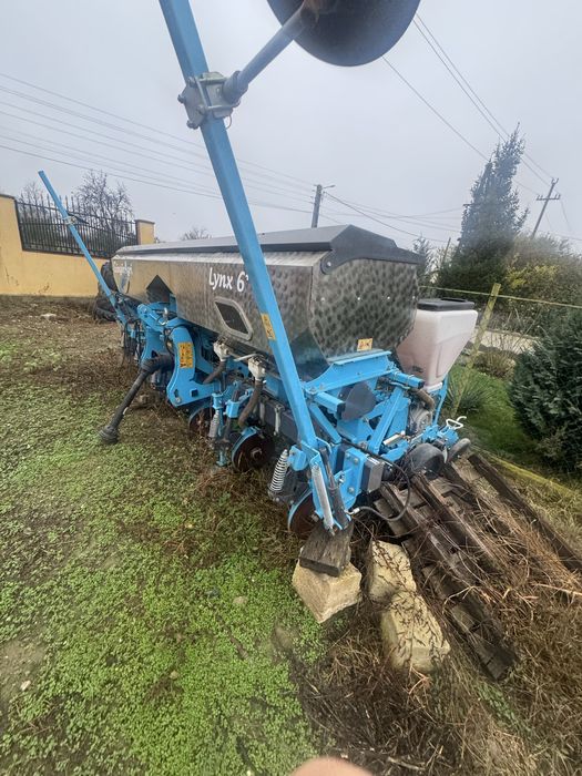 Semanatoate plante prasitoare