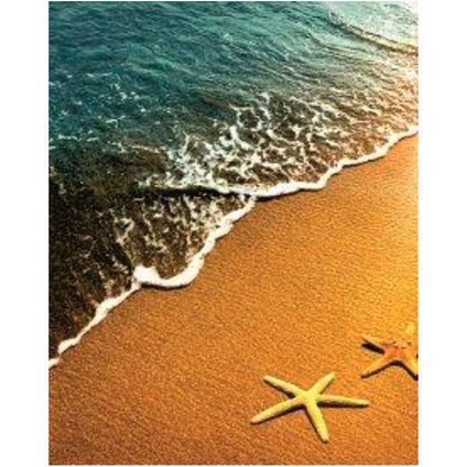 Завеса за баня: Морски звезди на плажа, СПА камъни, РОЗА