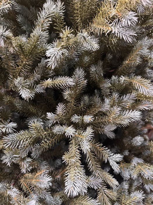 Ель искусственная