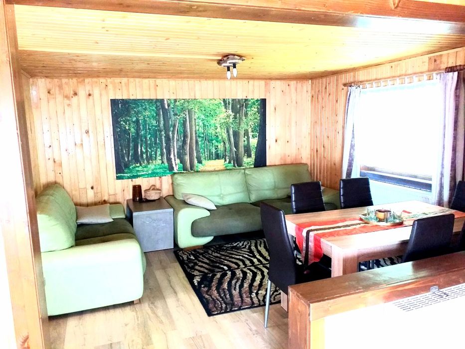 Cabana Pin de inchiriat