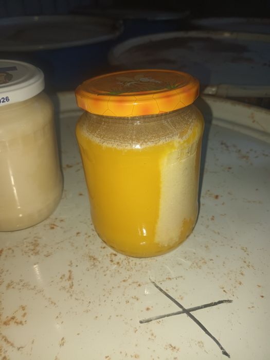 Miere de albine floarea soarelui