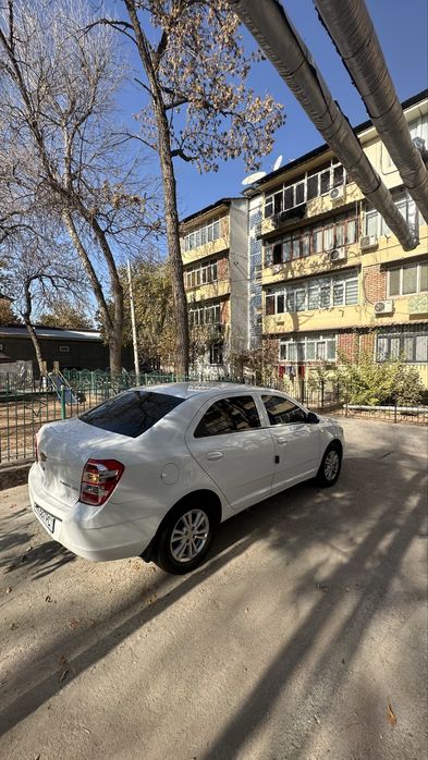 Cobalt GX-STYLE 4 Full Tozza