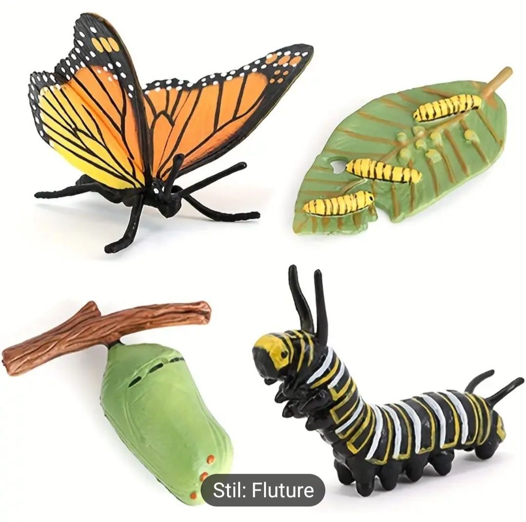 Kit de 4 produse ciclul de viata a fluturelui
