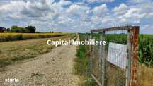 Teren agricol 9100 mp - 45.500€