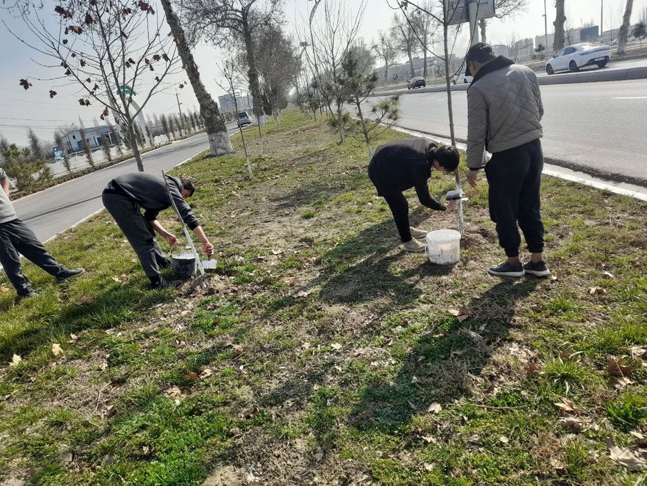 Мевали ва манзарали кучатлар