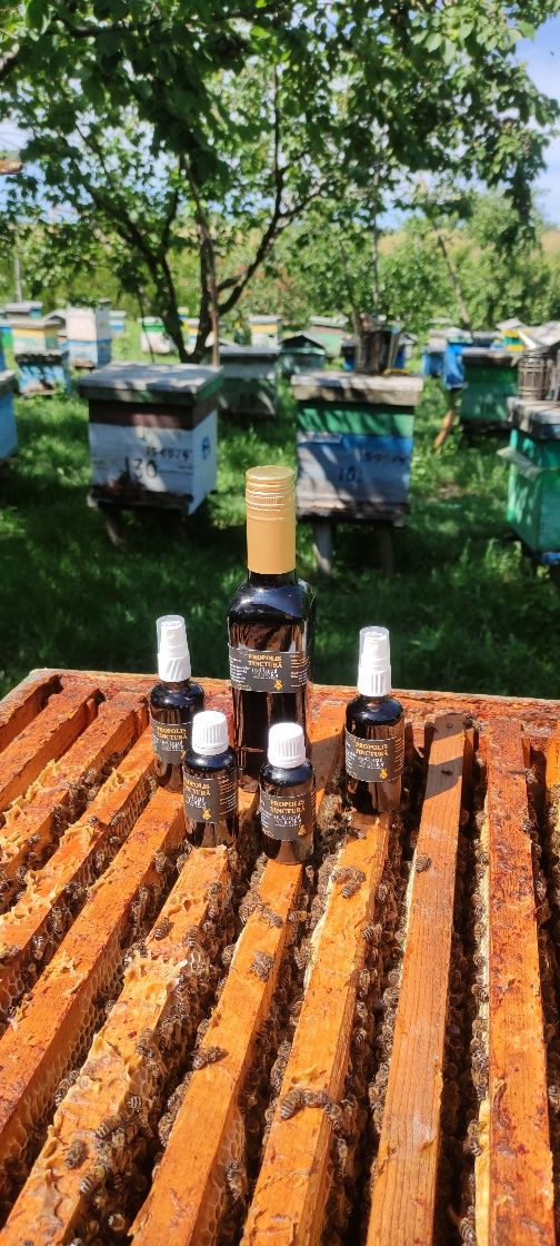 Tinctura propolis 35%