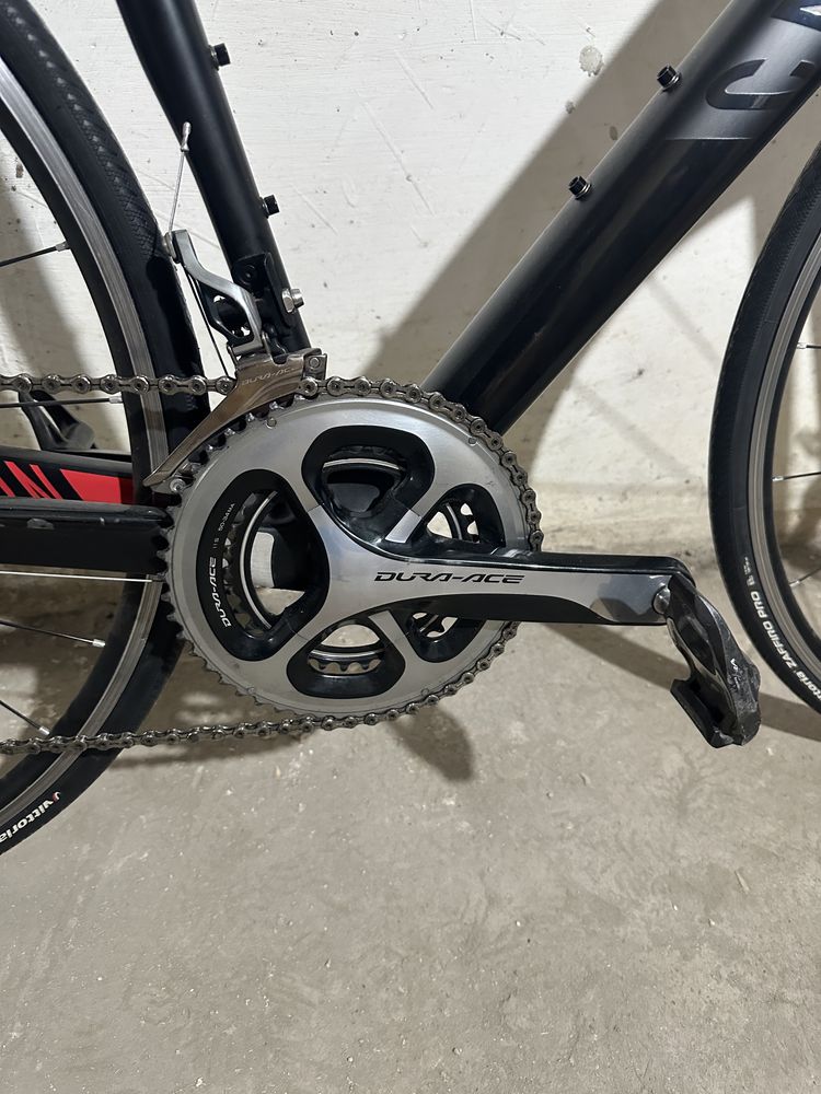 Cursiera Carbon Canyon Endurace CF/Dura Ace