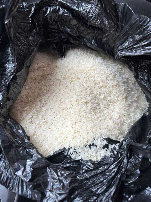 Гуруч лазер, янги хосил, оптом нархларда