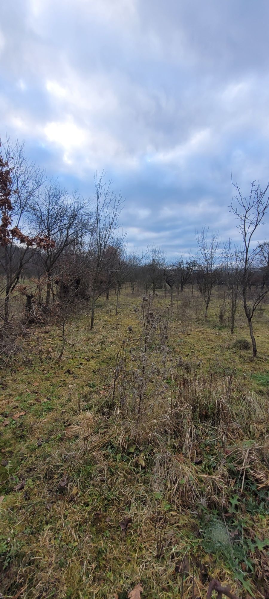 Teren intravilan, constructie,livada, acte la zi, zona superba