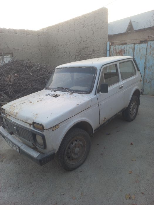 Niva sotiladi kelishamiz