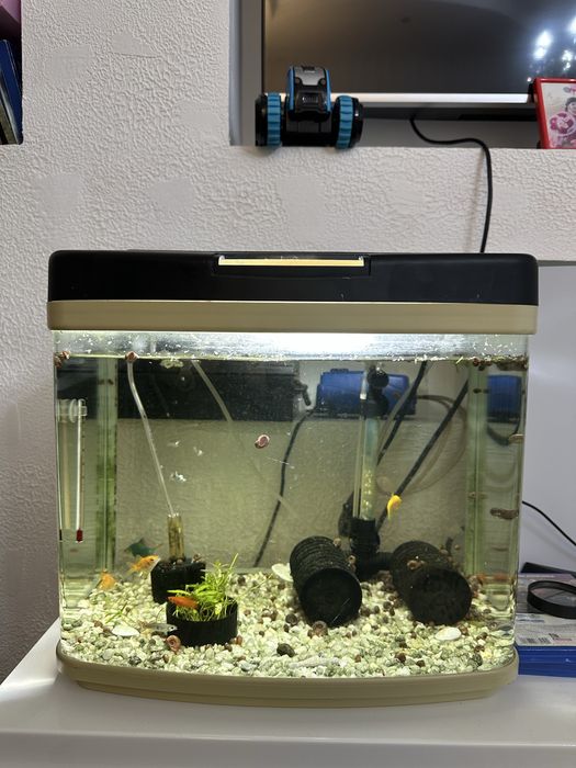 Аквариум с рыбками