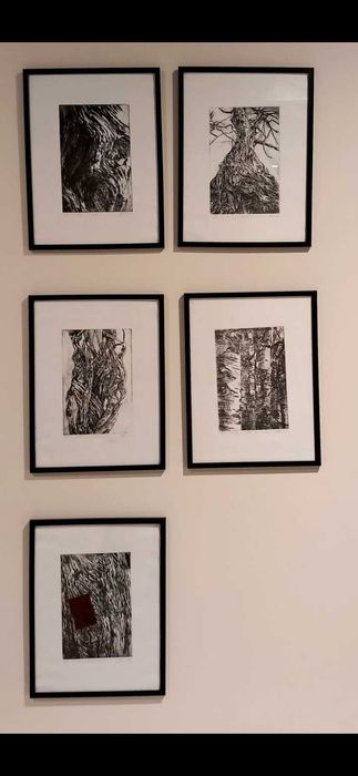 Tablouri grafica tuș, desenez la comanda