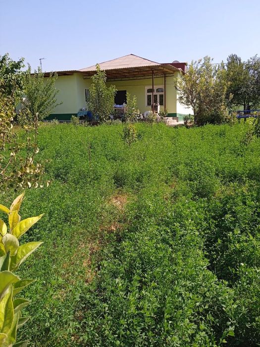 Кибрай тумани Жамбул м.ф.й да 4хона,20 сотиг хонадон сотилади