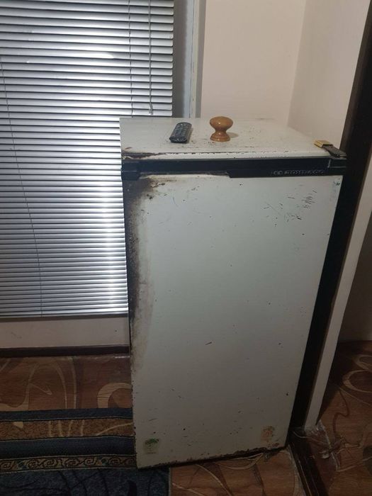 Аренда Кора камиш 1/2 1хона