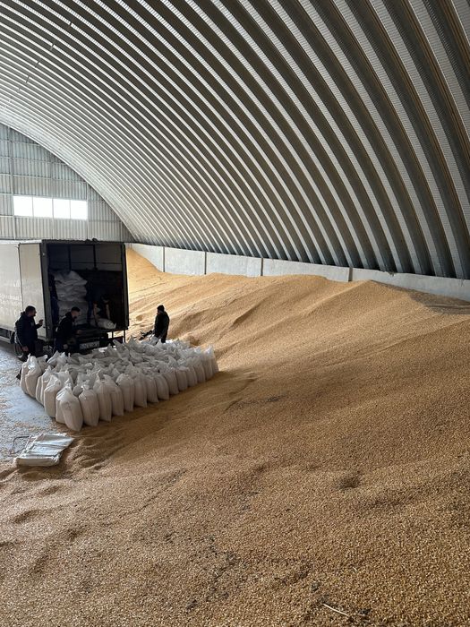 Porumb uscat cu transport la domiciliu