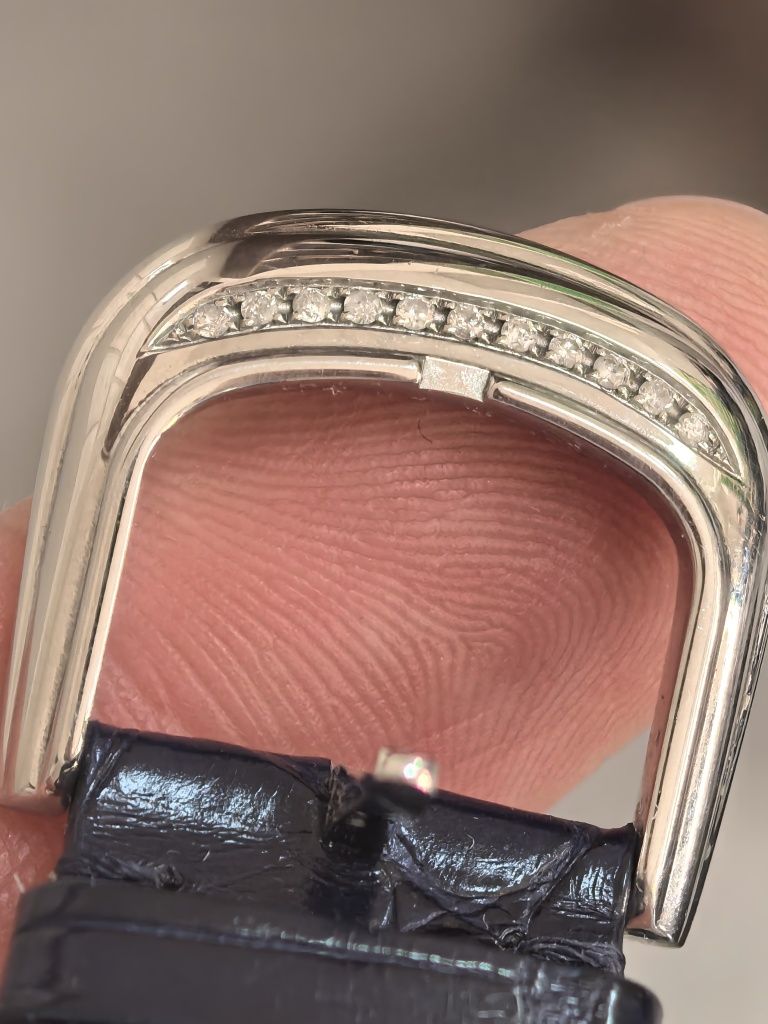 Franck Muller Curvex Blue Concept Diamond Case