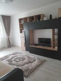 Închiriez apartament 2 camera , zona Lapus Arges !