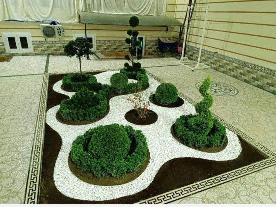 Ландшафтный дизайн, Рулонный газон, продажа и установка