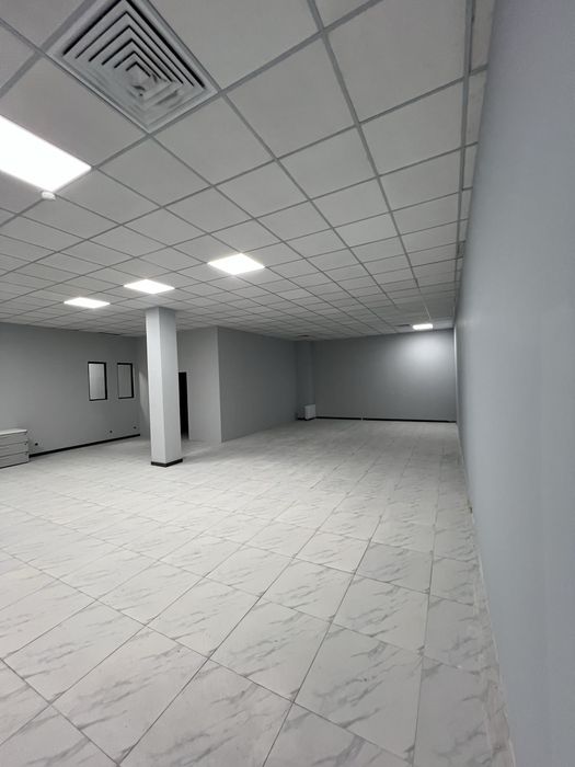 Офис около метро Пушкина 120 квм