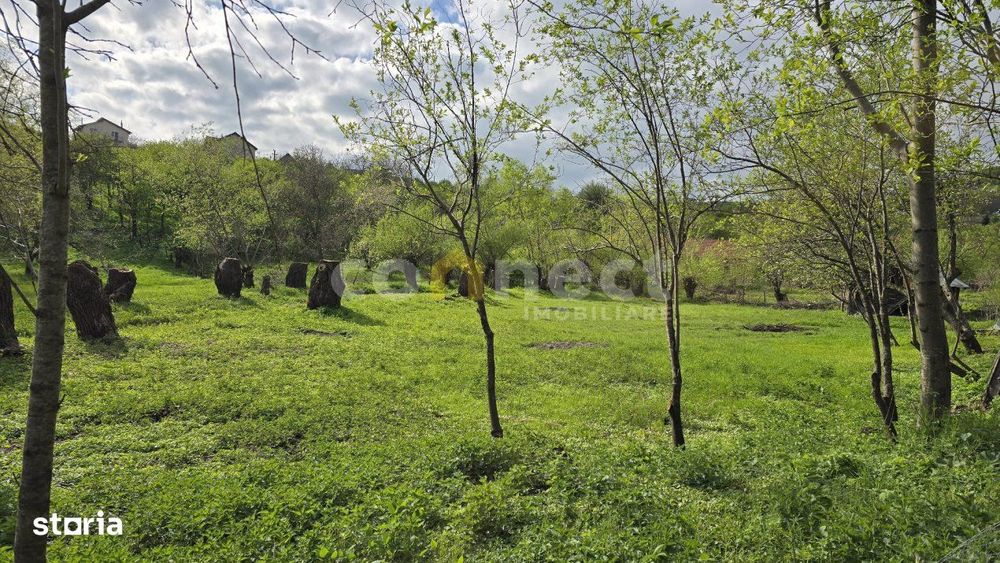 De vanzare teren superb in Ciurila – 500 mp de liniste, verdeata si